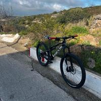  bici Focus Spine 