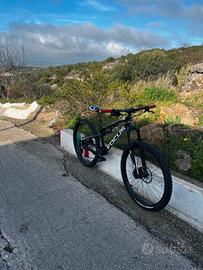  bici Focus Spine 