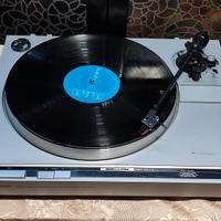 Kenwood KD-40R Piatto S.Automatic Trazione Diretta