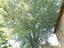 Immagine 16