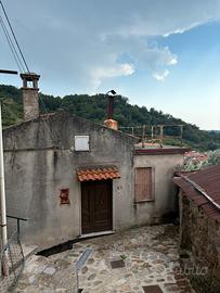 Immobile con rudere e giardino