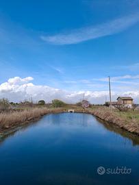 Valle da pesca
