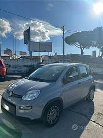FIAT PANDA 1.0 FireFly S&S Hybrid  CON AURORADIO