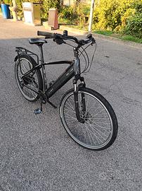 bicicletta elettrica Olympia Roadster 250W