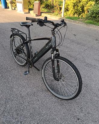 bicicletta elettrica Olympia Roadster 250W