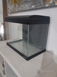 Acquario