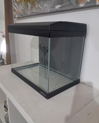Acquario