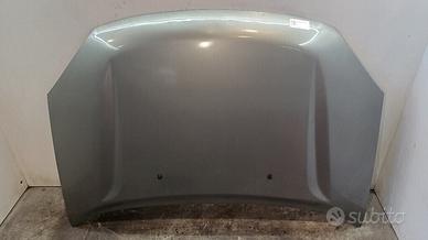 COFANO ANTERIORE DR 5 1° Serie 741010018 SQR481F