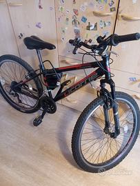 Bicicletta MTB