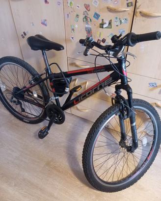 Bicicletta MTB