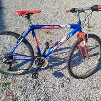 MTB Bottecchia r26