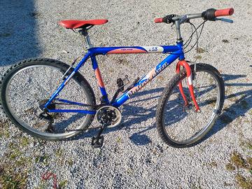 MTB Bottecchia r26
