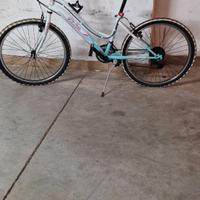 Bicicletta globus lincy cambio shimano