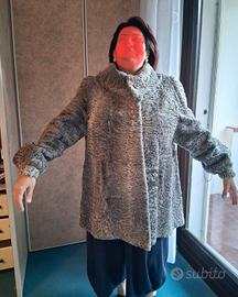 Pelliccia Persiano karakul con certificato