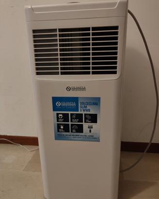 Olimpia Splendid dolce clima slim 8 wwb