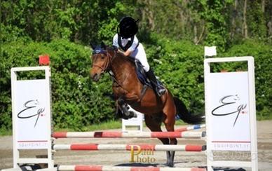 Doppio pony anno 2015