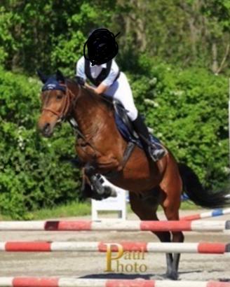 Doppio pony anno 2015