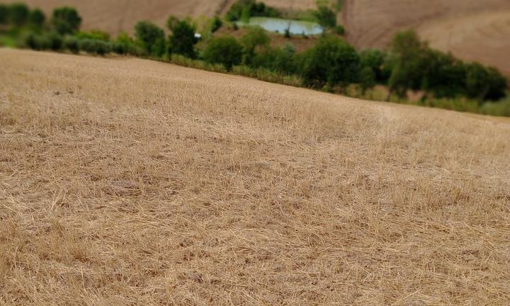 Terreno per fotovoltaico