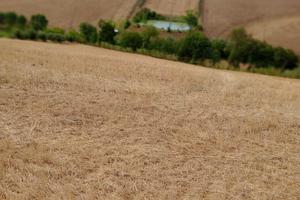 Terreno per fotovoltaico