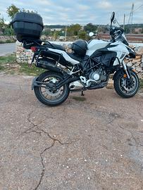 Benelli 502 da amatore 2017