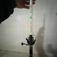 Canna surfcasting sunset 420 piu mulinello alcedo