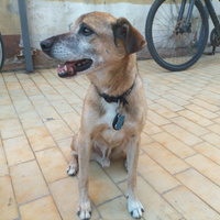 Chicco, 10 anni e non sentirli