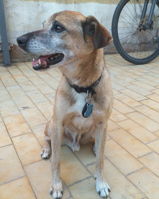 Chicco, 10 anni e non sentirli