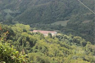 CENTINAIA di ettari per molteplici attività