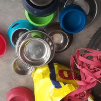 accessori per animali cane coniglio