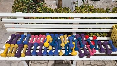 pesi manubri da 1kg e 2kg