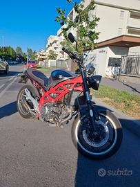 Suzuki Gladius 650
