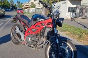 Suzuki Gladius 650