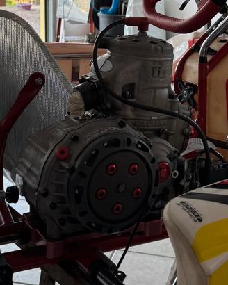Motore tm kz r1 Titan Red