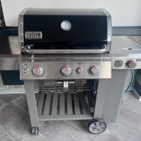 Weber GS4 Genesis II