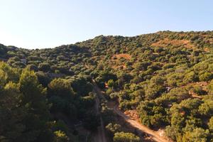 Terreno e rudere da restaurare: civile abitazione