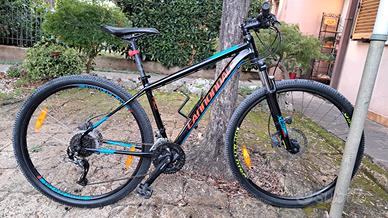 Cannondale Trail 5