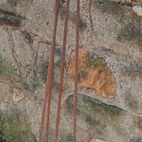 Tutori per vigneto a filari