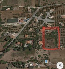 Terreno edificabile con concessione diretta