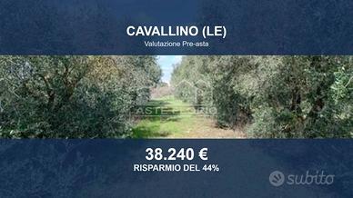 Immobile in asta di 22562 m² a Cavallino
