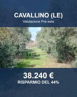 Immobile in asta di 22562 m² a Cavallino