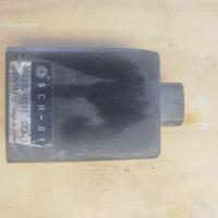 Centralina YAMAHA TTR600