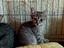 Immagine 6