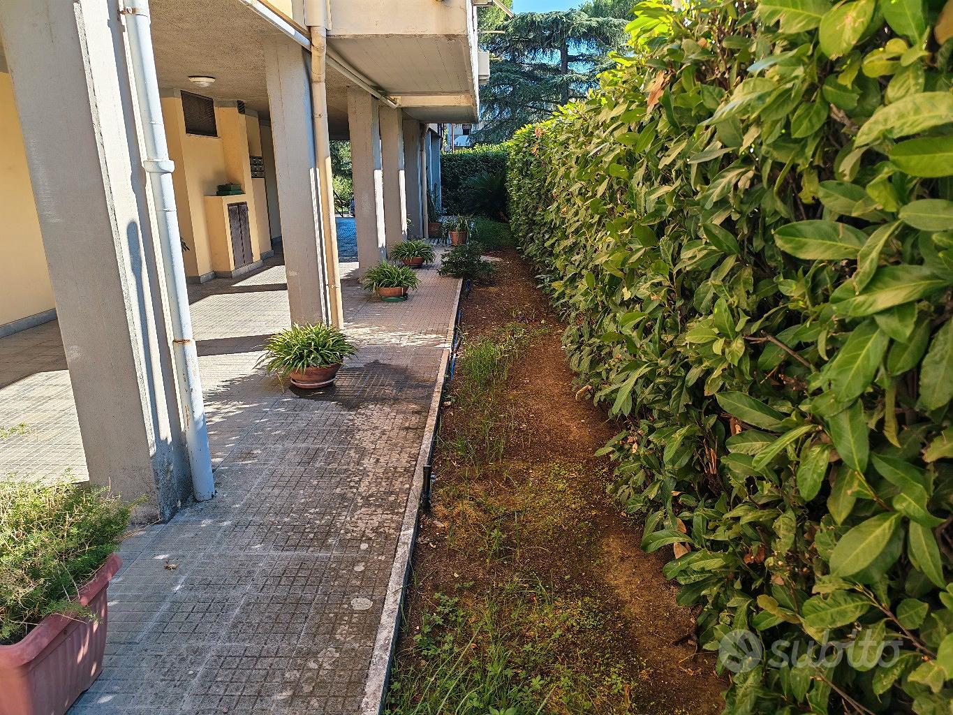 Appartamento – Monte Porzio Catone, Armetta - Vista 4