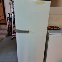 Congelatore verticale 