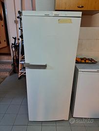 Congelatore verticale 