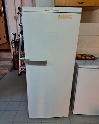 Congelatore verticale 