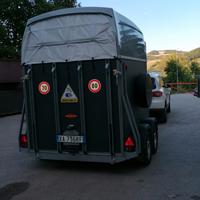 trailer per due cavalli Bhokman 