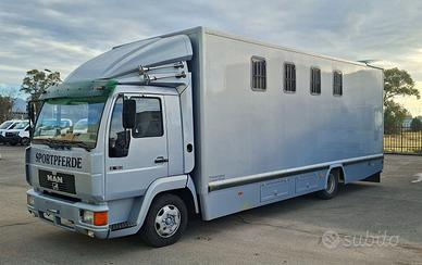 van trasporto cavalli professionale