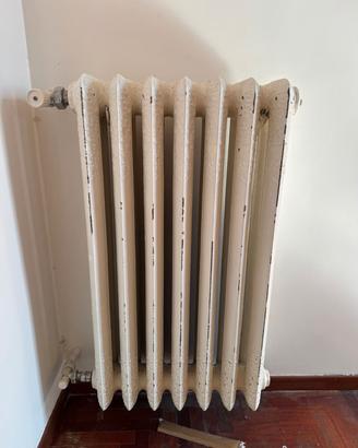 Termosifoni in ghisa 