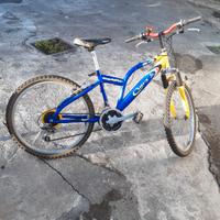 mtb misura 24